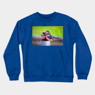 Barn Swallow Baby Trio Crewneck Sweatshirt